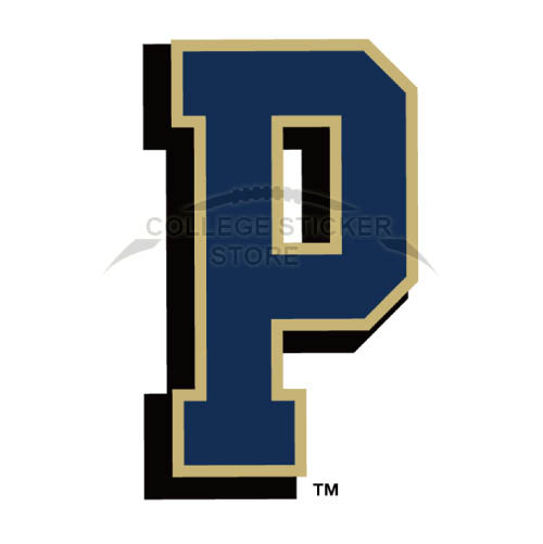 Homemade Pittsburgh Panthers Iron-on Transfers (Wall Stickers)NO.5899